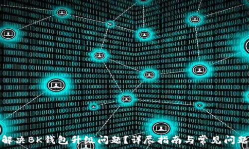   
如何解决BK钱包升级问题？详尽指南与常见问题解答