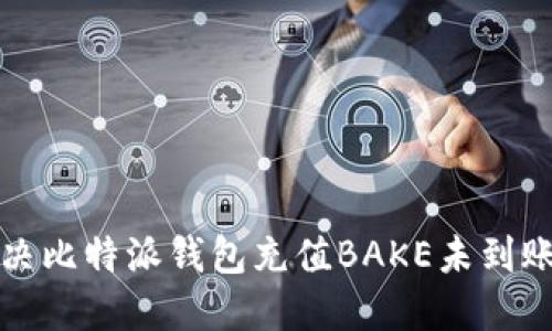 如何解决比特派钱包充值BAKE未到账的问题