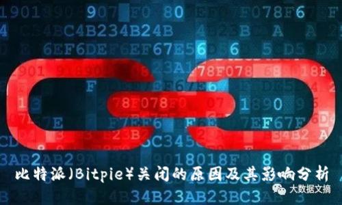 比特派（Bitpie）关闭的原因及其影响分析