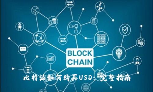 比特派如何购买USD: 完整指南