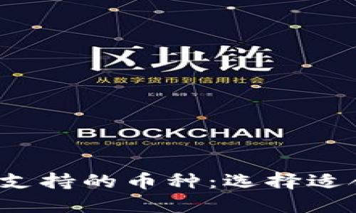 全面解读B特派支持的币种：选择适合你的投资组合