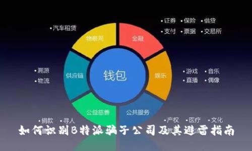 如何识别B特派骗子公司及其避雷指南