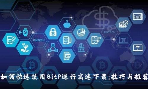 如何快速使用BitP进行高速下载：技巧与推荐