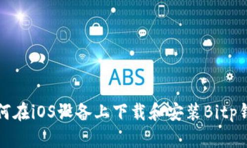 如何在iOS设备上下载和安装Bitp钱包