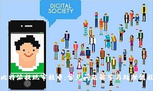 比特派提现审核中：常见问题解答与处理流程