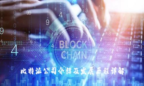 比特派公司介绍及发展历程详解