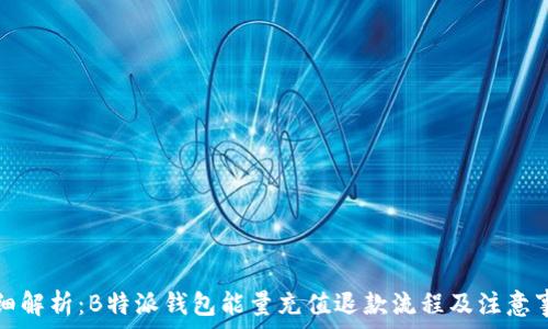   
详细解析：B特派钱包能量充值退款流程及注意事项