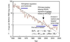 如何解决B特派官网无法登录的问题：全面指南