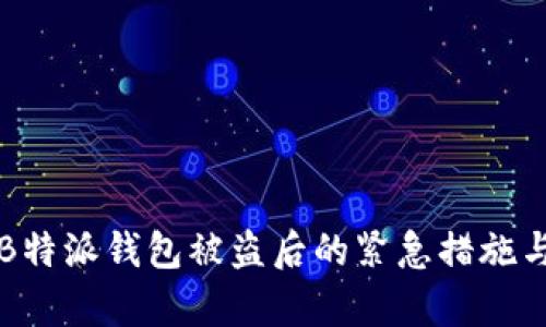 如何应对B特派钱包被盗后的紧急措施与恢复指南