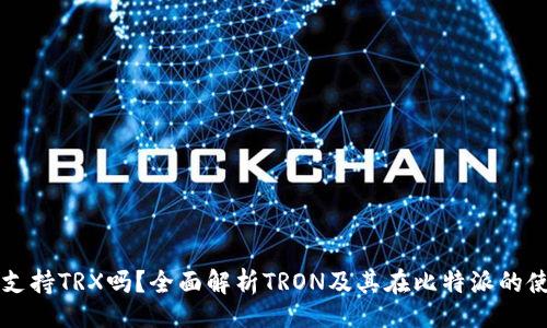 题目

比特派支持TRX吗？全面解析TRON及其在比特派的使用方式