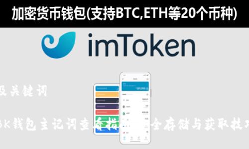 及关键词

BK钱包主记词查看指南：安全存储与获取技巧