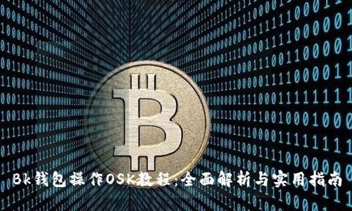 Bk钱包操作OSK教程：全面解析与实用指南