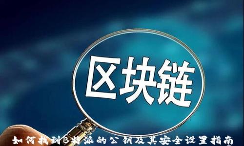
如何找到B特派的公钥及其安全设置指南