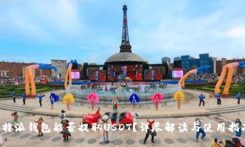 b特派钱包能否提取USDT？详尽解读与使用指南