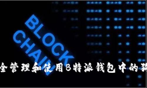 如何安全管理和使用B特派钱包中的狗币地址
