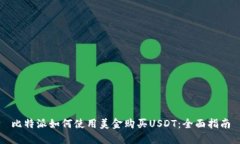 比特派如何使用美金购买USDT：全面指南