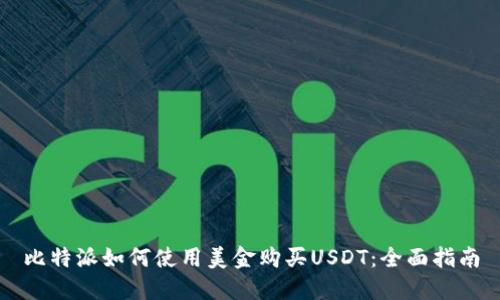 比特派如何使用美金购买USDT：全面指南